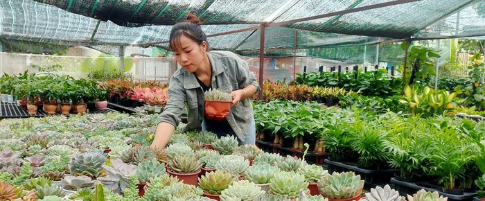 Vườn cây cảnh Thanh Trúc - địa chỉ mua cây cảnh hàng đầu tại Hóc Môn